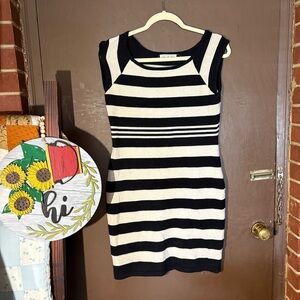 Pink Rose Striped Black and White Mini Dress